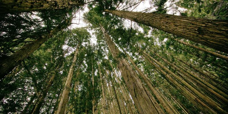 社交启蒙第一步:如何用亲亲啦游戏在分享与交友中激发宝宝语言大爆发