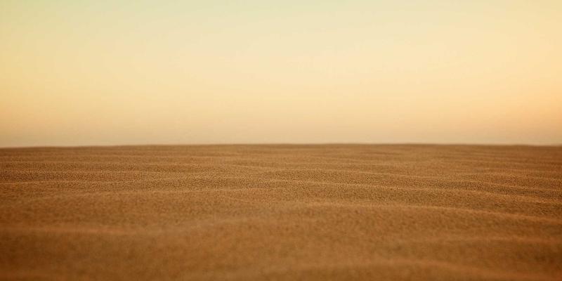 社交平台上的“亲亲啦”：现代父母如何通过数字记录塑造婴幼儿情感世界